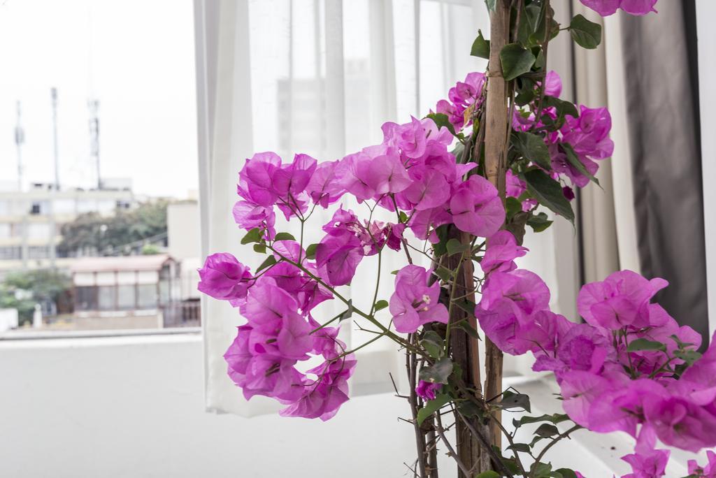 Autor Bed & Breakfast Lima Exterior photo